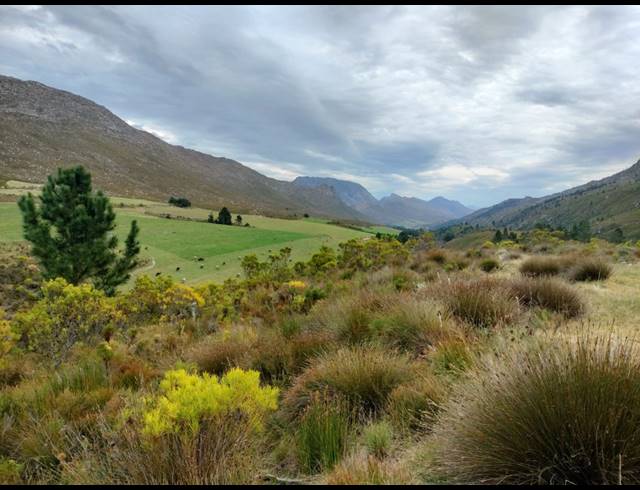 911HA FARM FOR SALE IN RIVERSDALE RURAL